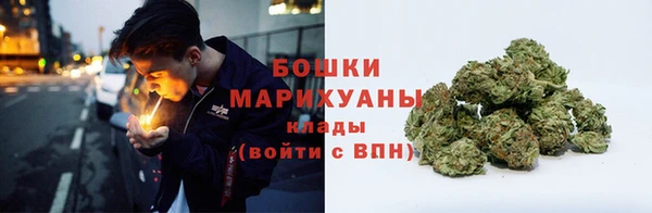 прущие грибы Богданович