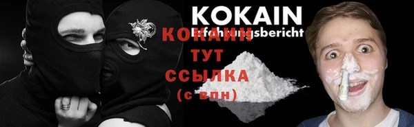 крисы Белокуриха