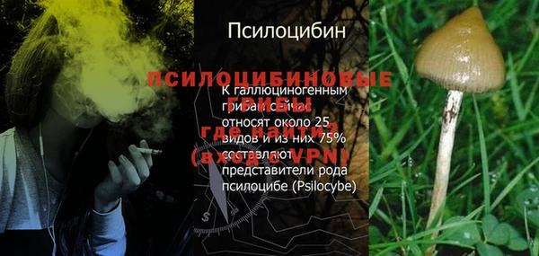 прущие грибы Богданович