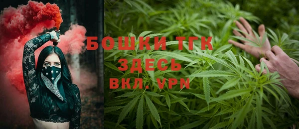 прущие грибы Богданович